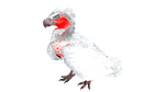 X-Argentavis PaintRegion0.jpg