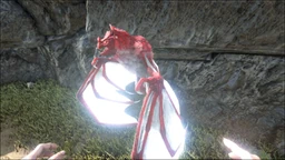 Onyc PaintRegion0.jpg