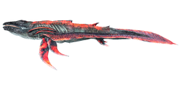 Astrocetus PaintRegion0.png