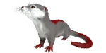 Otter PaintRegion4