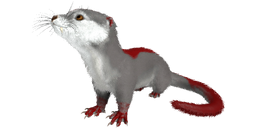 Otter PaintRegion4.png
