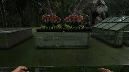 Greenhouse FullyCovered