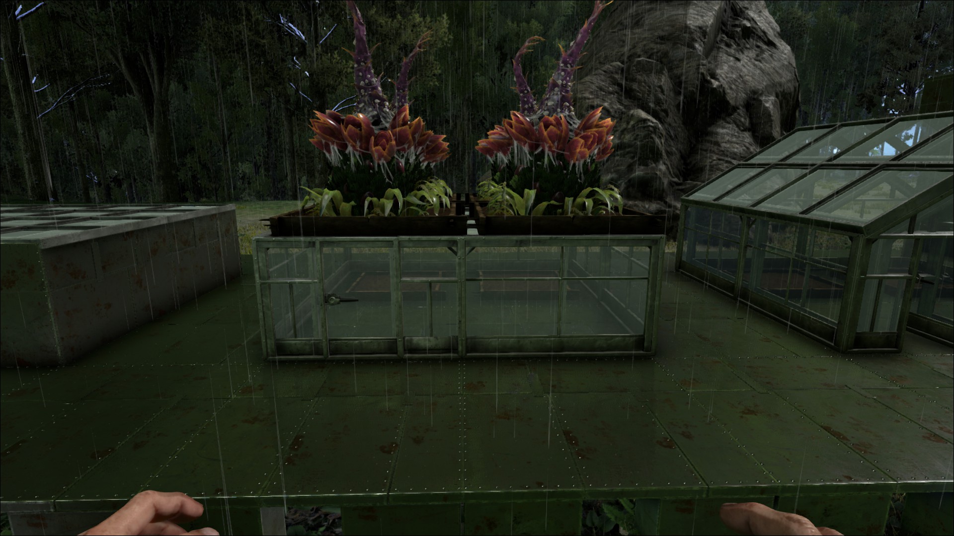 Greenhouse Structures Official Ark Survival Evolved Wiki