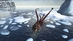 Tuso récoltant du Polymère organique sur la côte.