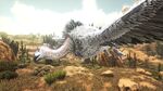 ハゲワシ 公式ark Survival Evolvedウィキ ハゲワシ 公式ark Survival Evolvedウィキ