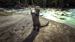 カワウソ 公式ark Survival Evolvedウィキ カワウソ 公式ark Survival Evolvedウィキ