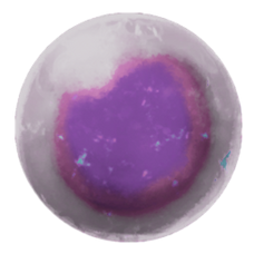 Tusoteuthis Egg.png