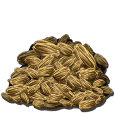 Rockarrot Seed