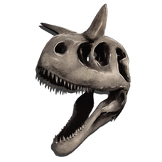 スケルトン コスチューム カルノタウルス 公式ark Survival Evolvedウィキ スケルトン コスチューム カルノタウルス 公式ark Survival Evolvedウィキ