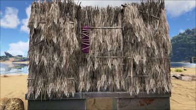Thatch Door Official Ark Survival Evolved Wiki