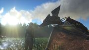 Tamed Pteranodon