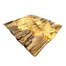 Adobe Trapdoor (Scorched Earth).png