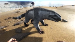 Purlovia PaintRegion4