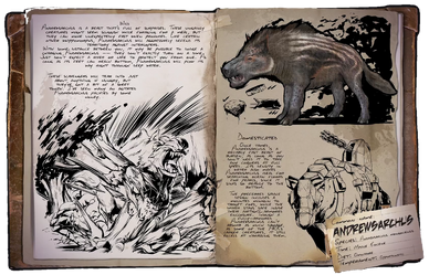 Dossier Andrewsarus