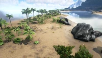 Biome Beach