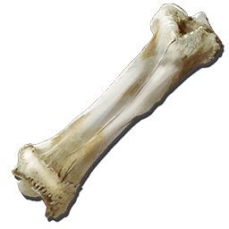 Dinosaur Bone Official Ark Survival Evolved Wiki - skeleton roblox artho dinosaur