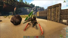 Dimensions de l'Excrément immense.