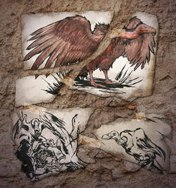 ハゲワシ 公式ark Survival Evolvedウィキ ハゲワシ 公式ark Survival Evolvedウィキ