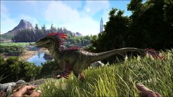 突然変異 公式ark Survival Evolvedウィキ 突然変異 公式ark Survival Evolvedウィキ