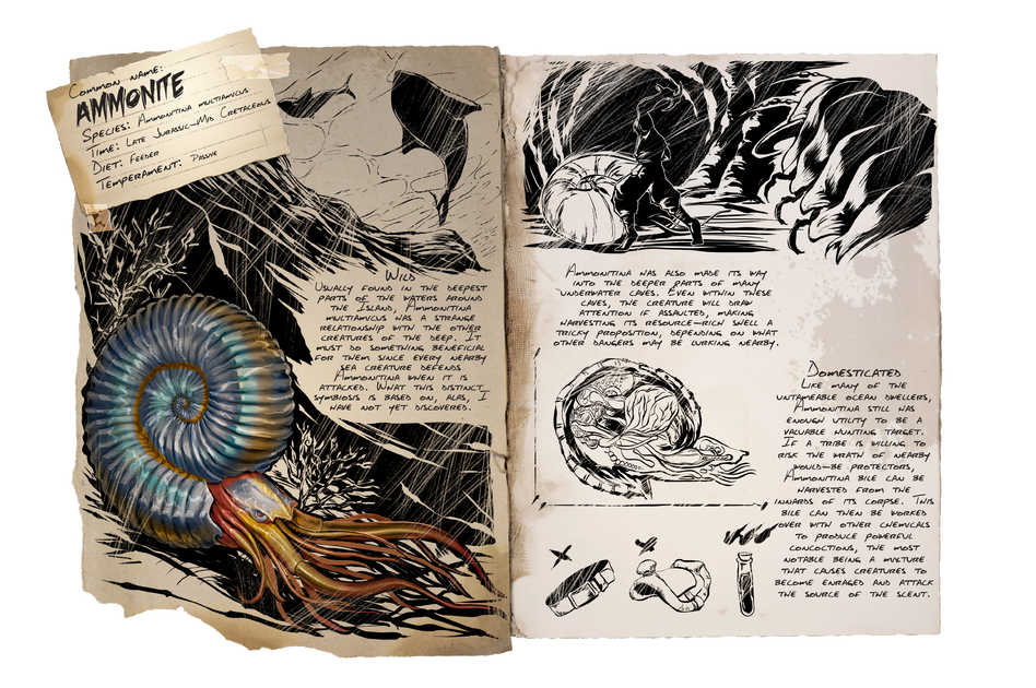 Ammonite Ark Survival Evolved Wiki