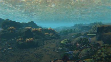 Turtle Reef (Lost Island)