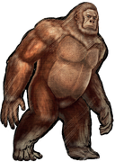 Vieille image du Dossier avant le TLC #1.