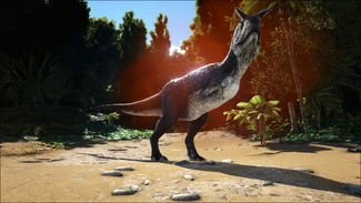 Alpha Carnotaurus Image