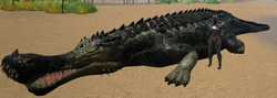 サルコスクス 公式ark Survival Evolvedウィキ