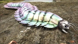 Arthropluera PaintRegion4.jpg