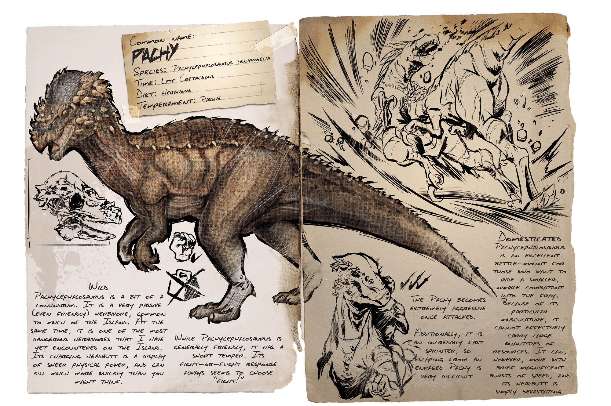 Pachy Official Ark Survival Evolved Wiki