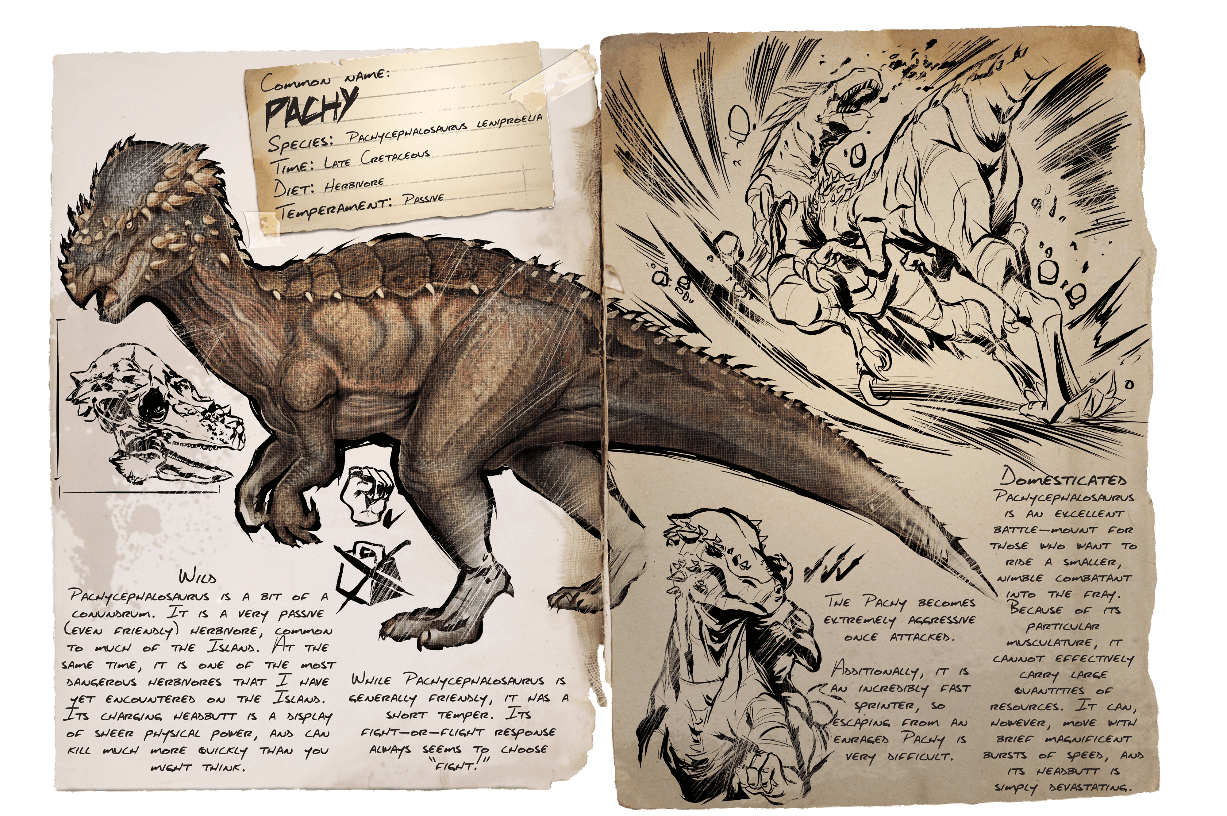 Paquicefalosaurio - Wiki de ARK: Survival Evolved