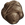 Feces.png