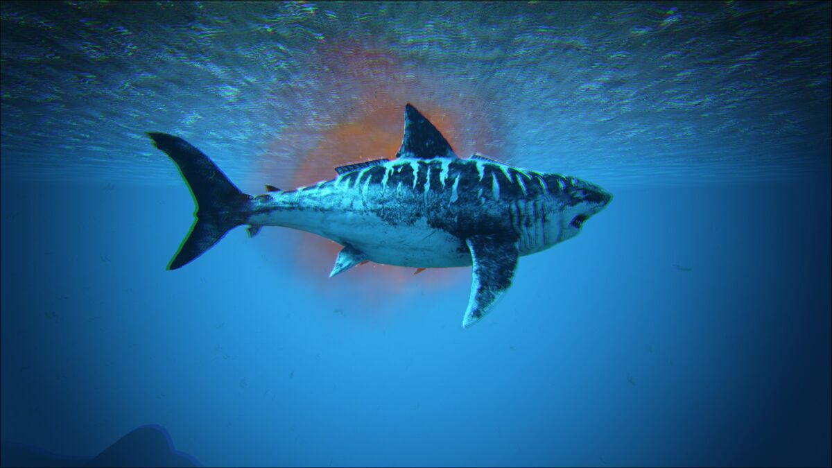 Alpha Megalodon - Official ARK: Survival Evolved Wiki