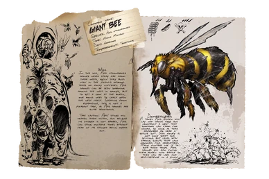 Dossier Giant Bee