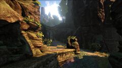 The Center Official Ark Survival Evolved Wiki