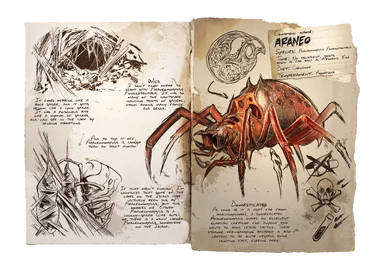 Dossier Araneo
