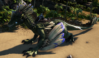 A Rock Drake wearing the saddle