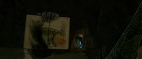 Forest Cave Entrance and map marker