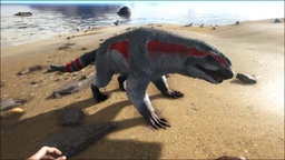 Purlovia PaintRegion5