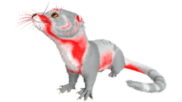 X-Otter PaintRegion0.png