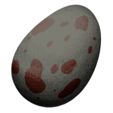 Pteranodon Egg - ARK: Survival Evolved Wiki