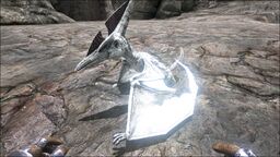 Ptera PaintRegion3.jpg