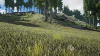 Biome Grasslands
