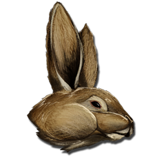 Procoptodon Bunny Costume.png