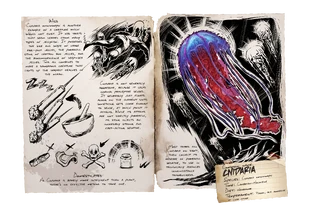 Dossier Cnidaria.png