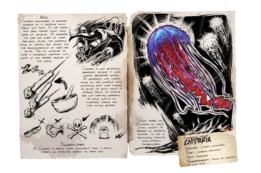 Dossier Cnidaria.png