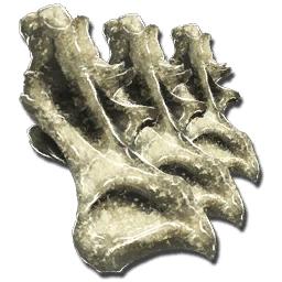 竜脚類の仙骨 公式ark Survival Evolvedウィキ