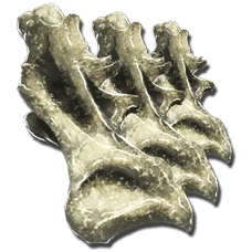 Sauropod Vertebra