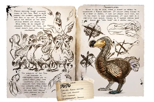 Dossier Dodo