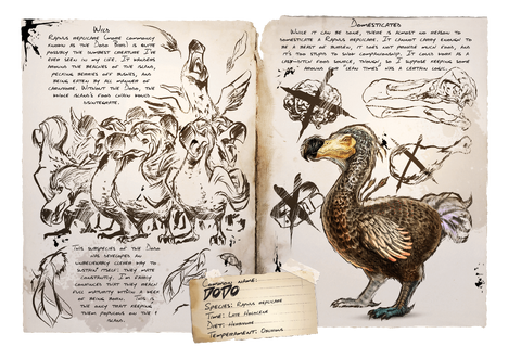 Dossier Dodo